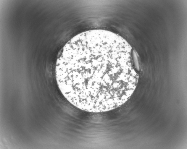 X0000065250423200603172209