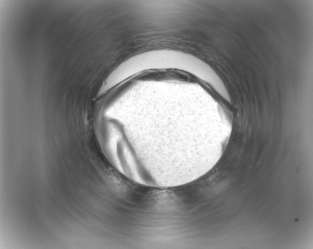 X0000065250424200603172209