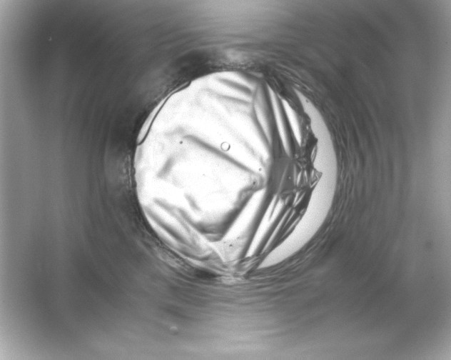 X0000065250425200603172209