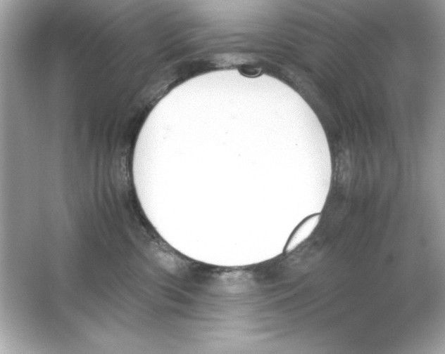 X0000065250426200603172209