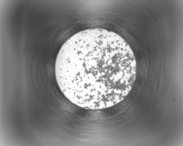 X0000065250427200603172209