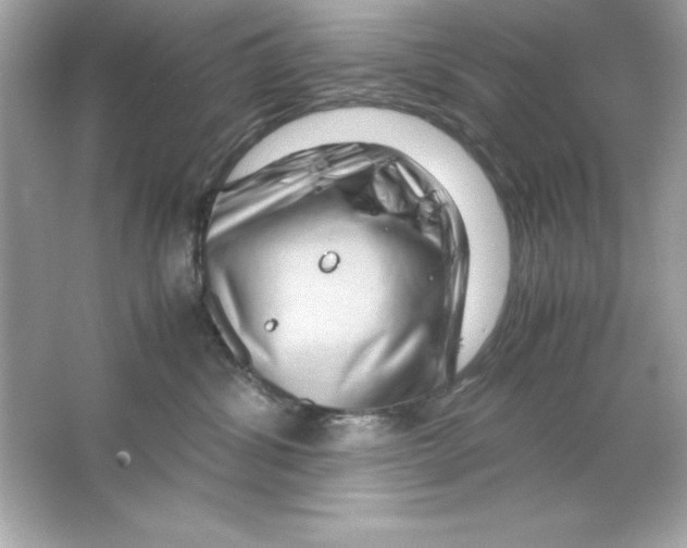 X0000065250428200603172209