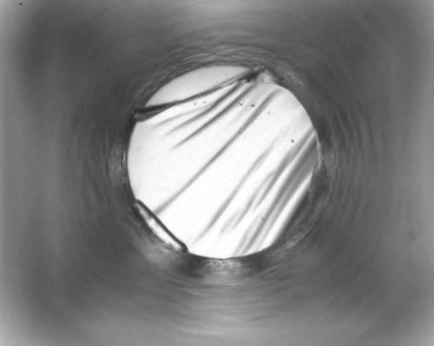 X0000065250429200603172209