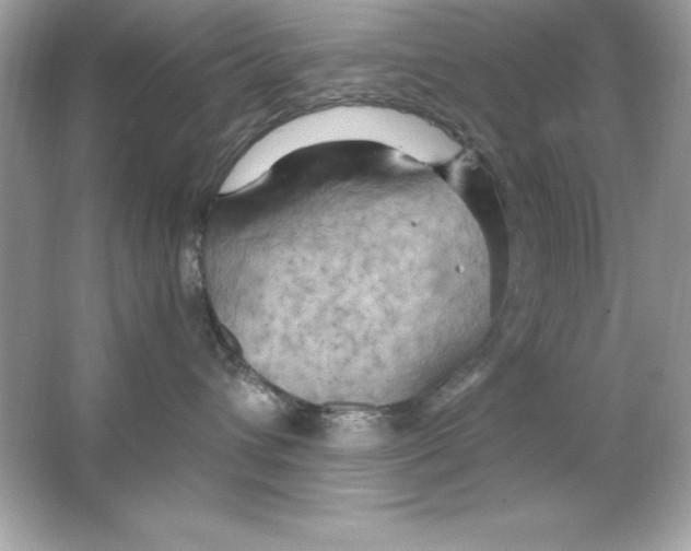 X0000065250432200603172209