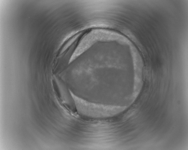 X0000065250434200603172208