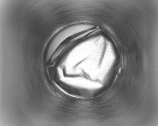 X0000065250435200603172208