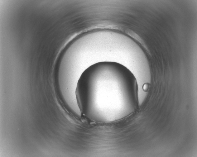 X0000065250436200603172208