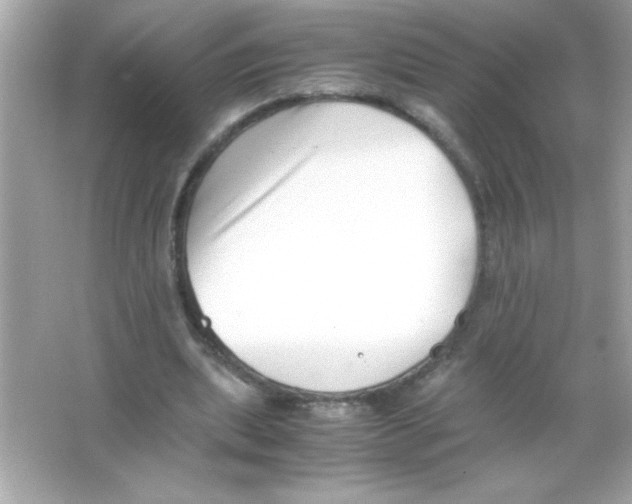 X0000065250439200603172208