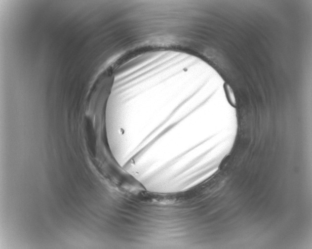 X0000065250440200603172208