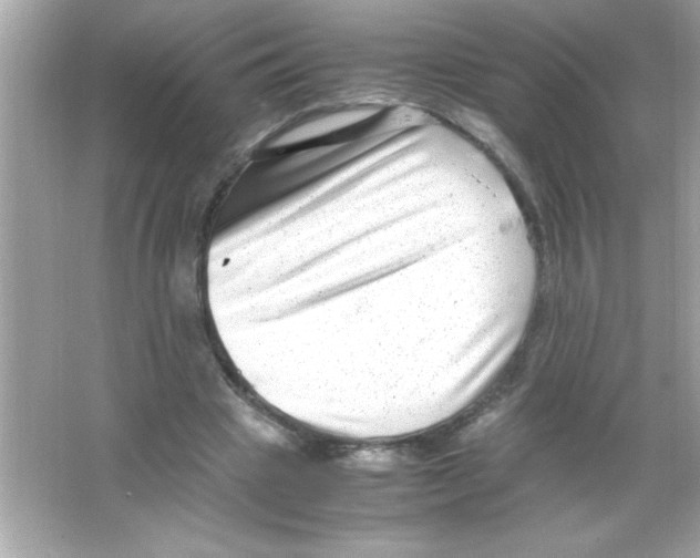 X0000065250441200603172208