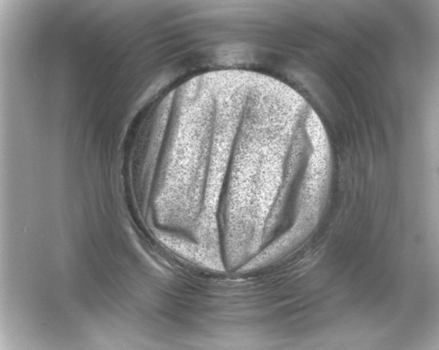 X0000065250443200603172208