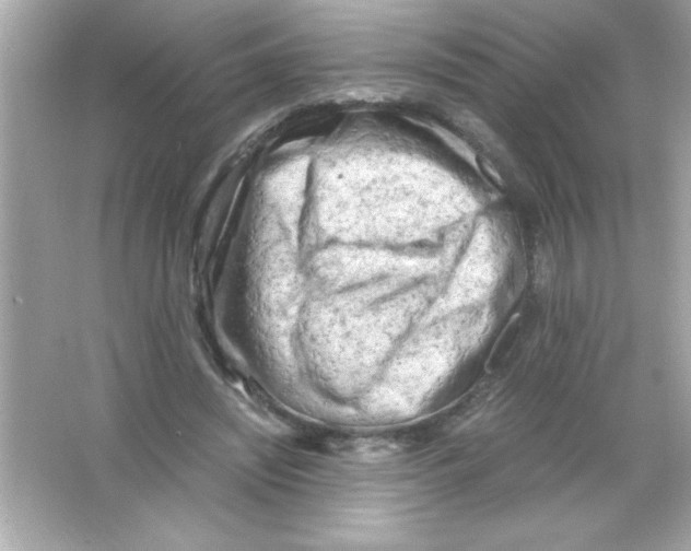 X0000065250444200603172208