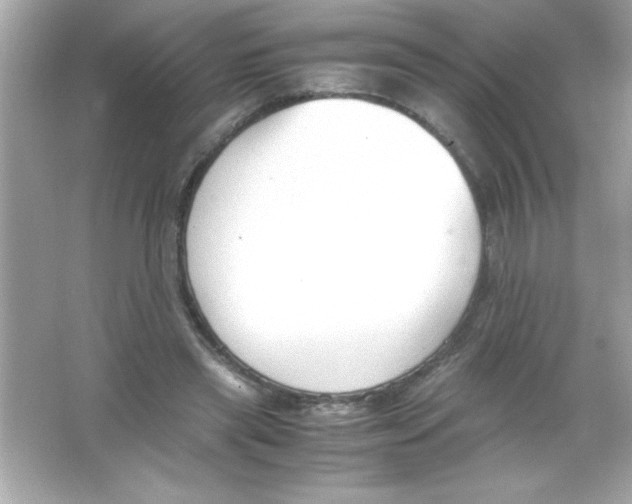 X0000065250445200603172208