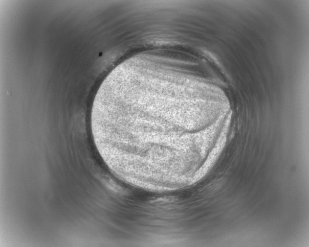 X0000065250447200603172208