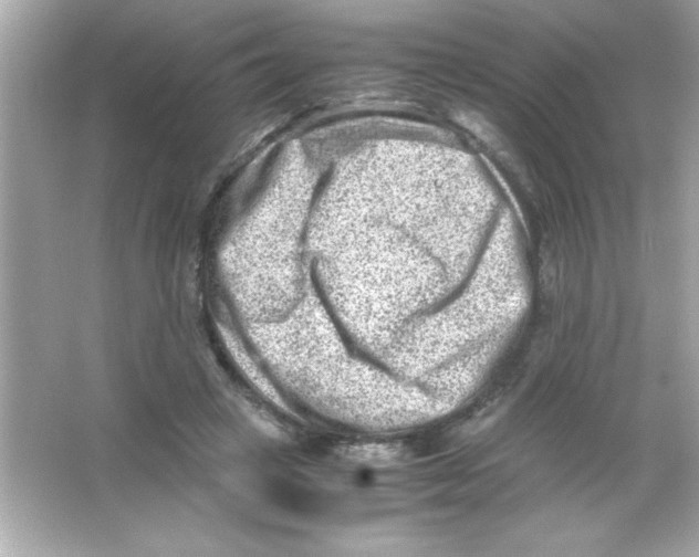 X0000065250449200603172208