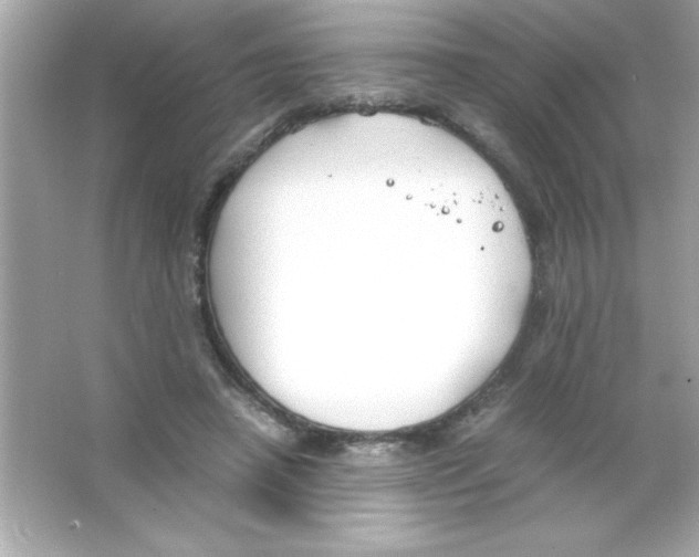 X0000065250450200603172208