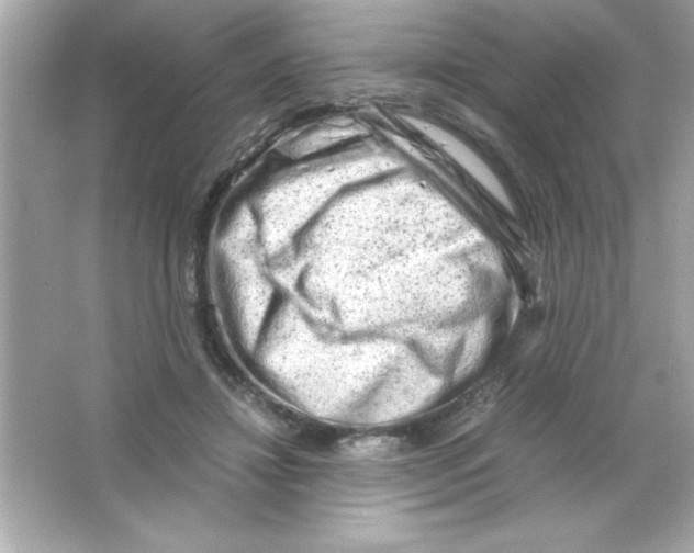 X0000065250452200603172208