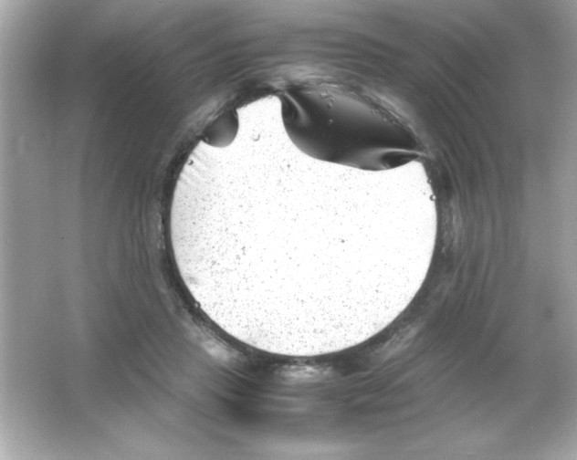 X0000065250453200603172208