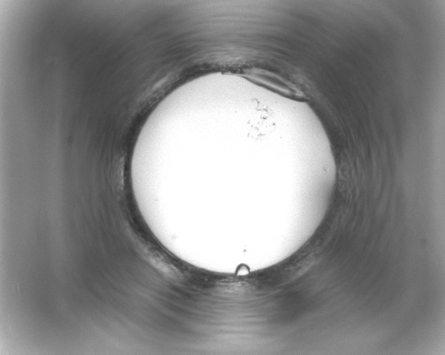 X0000065250454200603172208