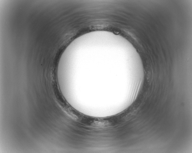 X0000065250455200603172208