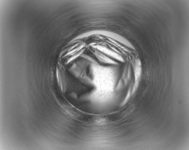 X0000065250456200603172209