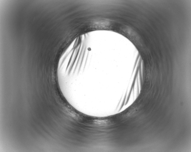 X0000065250457200603172209