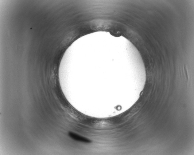 X0000065250460200603172209