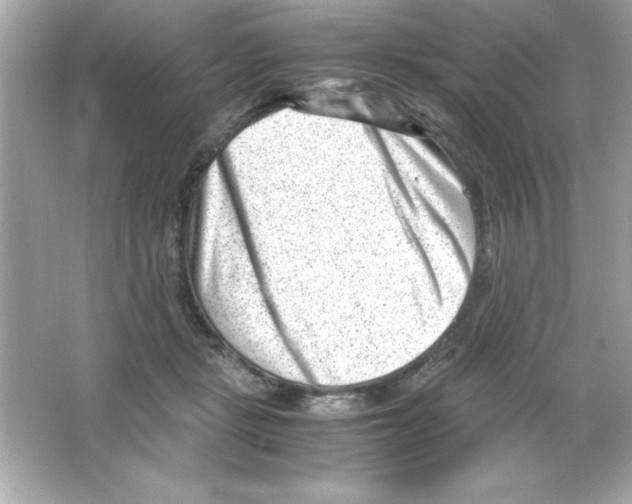 X0000065250461200603172209