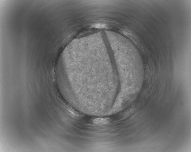 X0000065250465200603172209