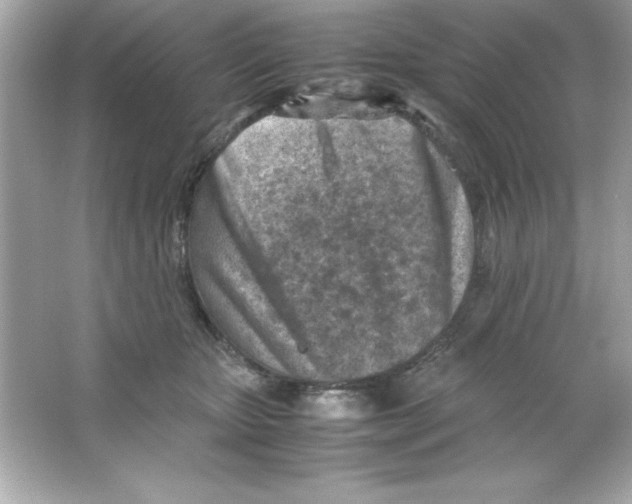 X0000065250467200603172209