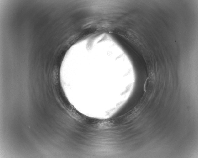 X0000065250468200603172209