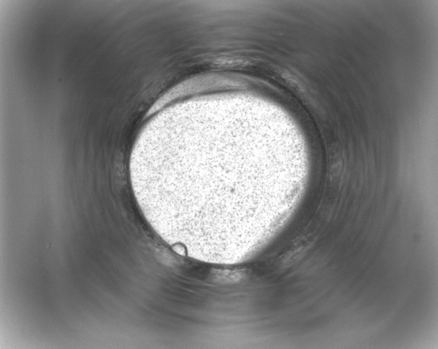 X0000065250469200603172209