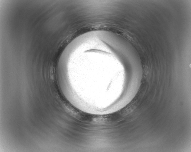 X0000065250470200603172209