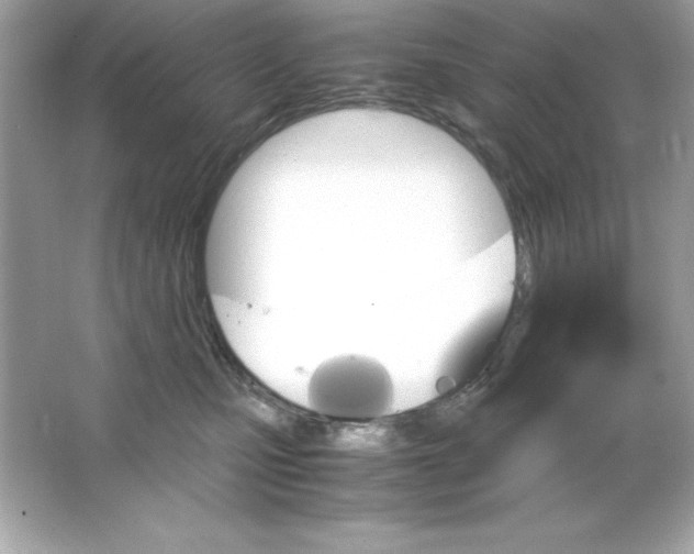 X0000065250471200603172209