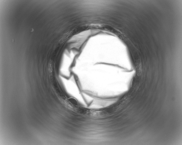 X0000065250472200603172209