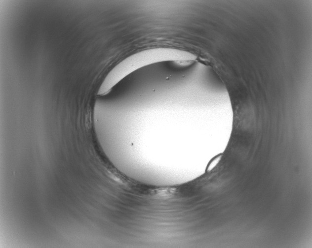 X0000065250474200603172209