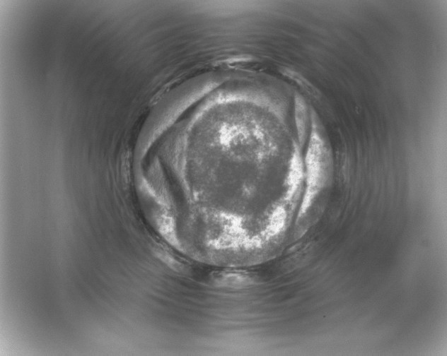 X0000065250475200603172209