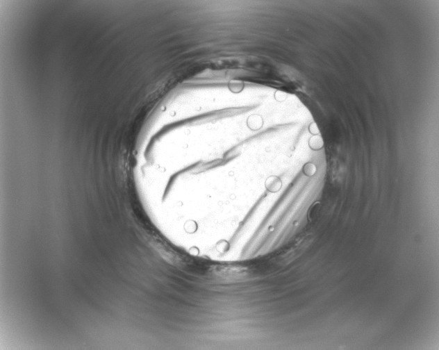 X0000065250476200603172209