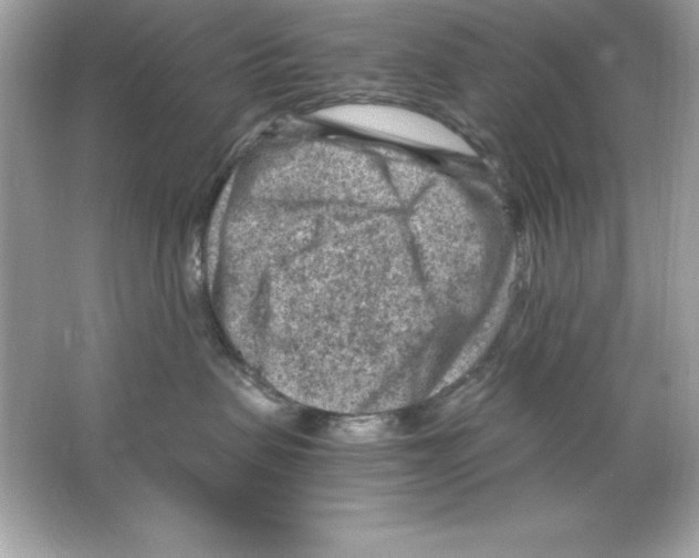 X0000065250479200603172209