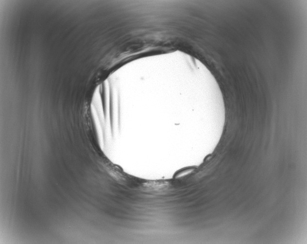 X0000065250480200603172209