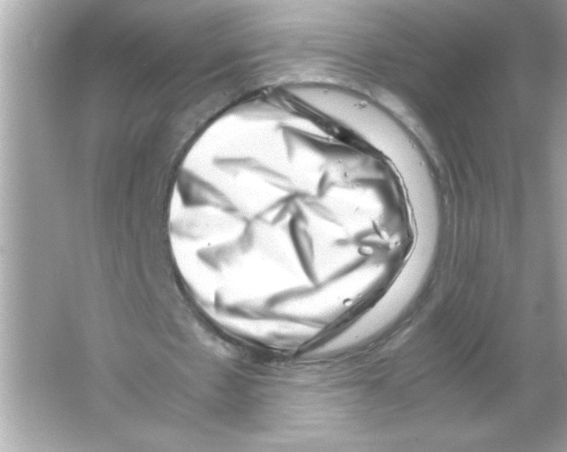 X0000065250481200603172208