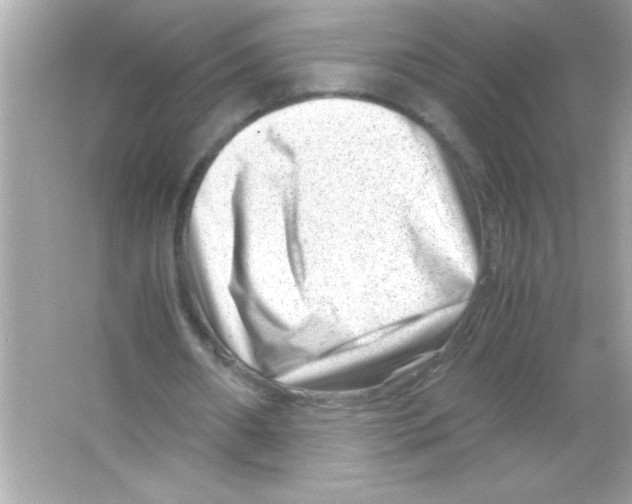 X0000065250482200603172208