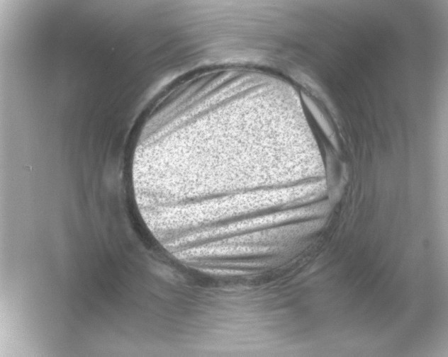 X0000065250483200603172208