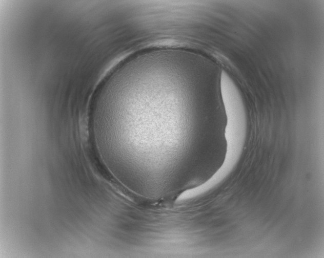 X0000065250484200603172208