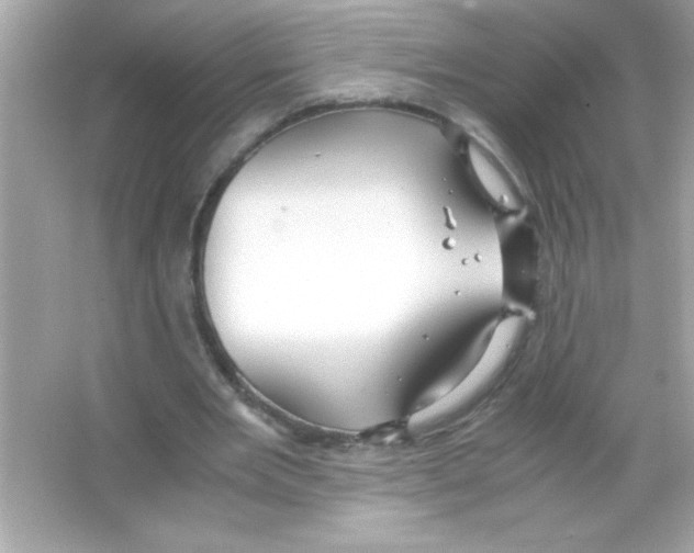 X0000065250485200603172208