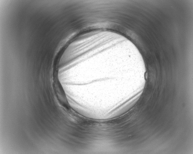 X0000065250486200603172208