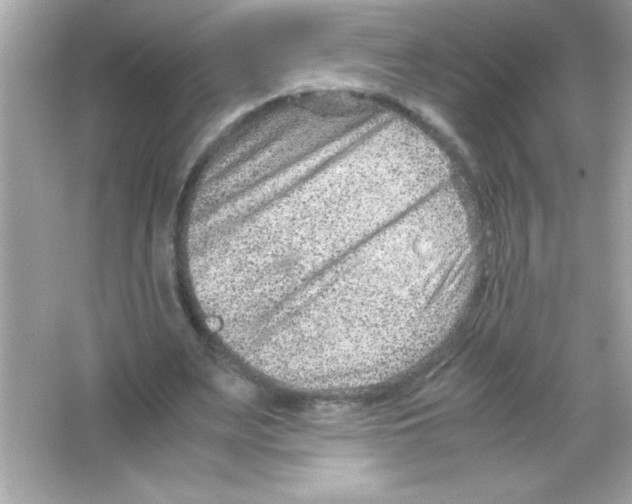 X0000065250487200603172208