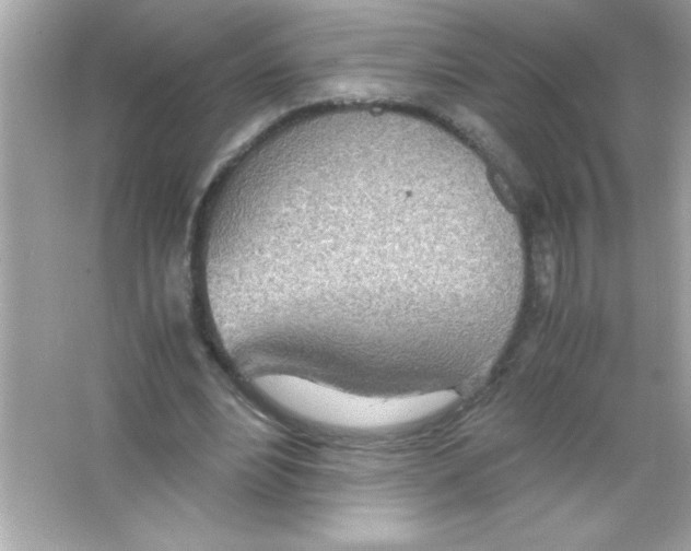 X0000065250488200603172208