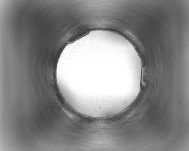 X0000065250489200603172208