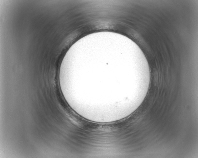 X0000065250490200603172208